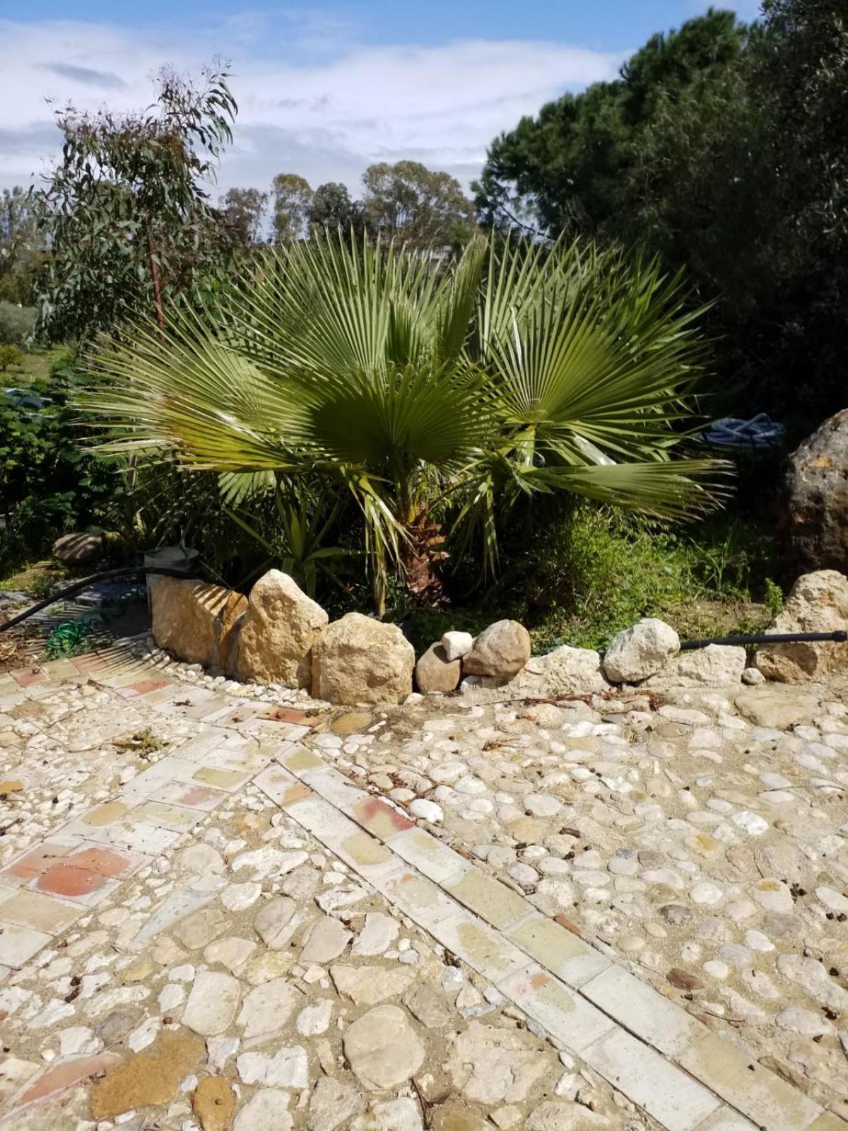 מלון אגריג'נטו Agrialma חדר תמונה